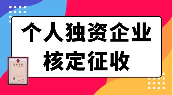 個(gè)人獨(dú)資企業(yè)需要繳哪些稅？個(gè)獨(dú)企業(yè)有什么優(yōu)惠政策