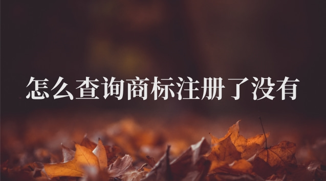 怎么查詢商標(biāo)注冊(cè)了沒(méi)(怎么查商標(biāo)注冊(cè)了沒(méi)有)