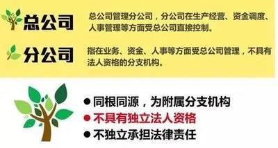 注冊子公司好還是分公司好，子公司和分公司有什么區(qū)別？